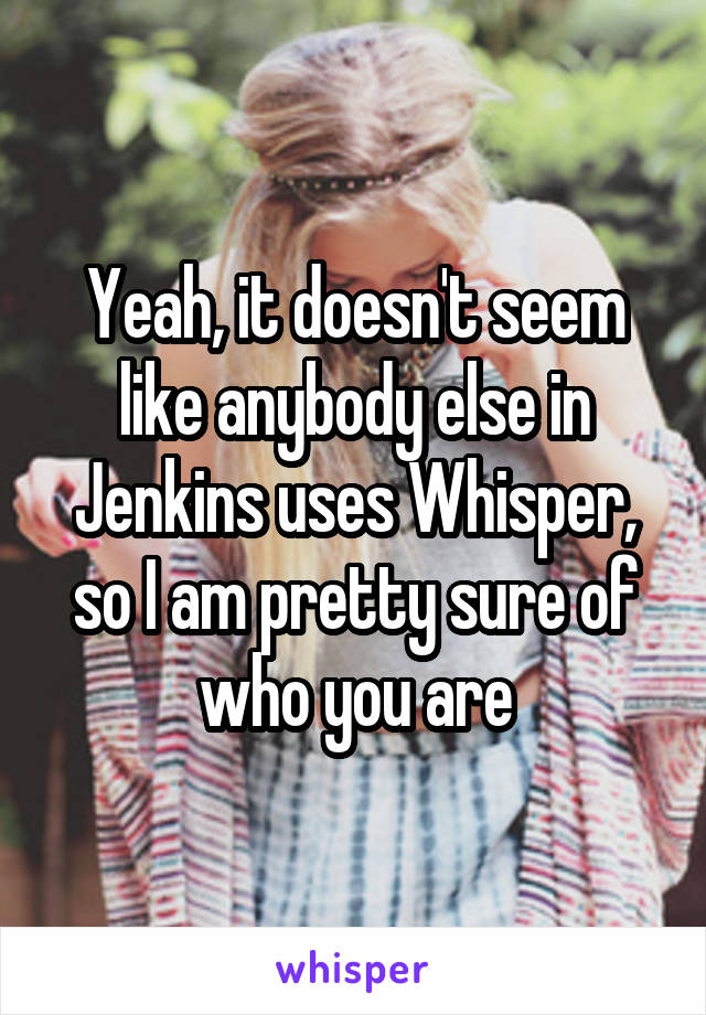 Yeah, it doesn't seem like anybody else in Jenkins uses Whisper, so I am pretty sure of who you are