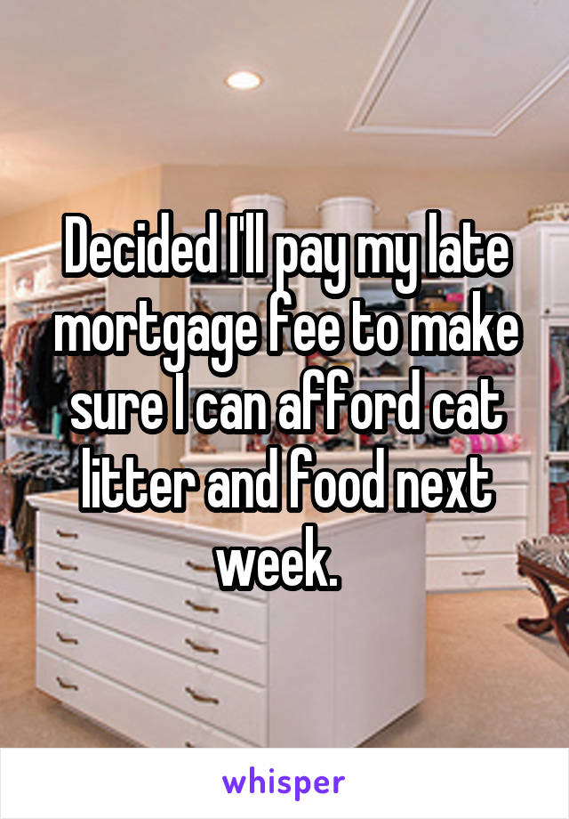 Decided I'll pay my late mortgage fee to make sure I can afford cat litter and food next week.  