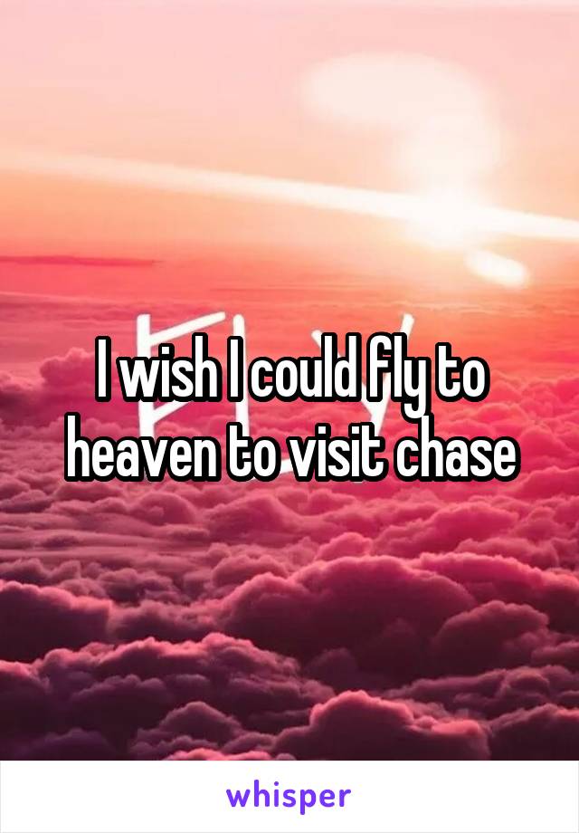 I wish I could fly to heaven to visit chase