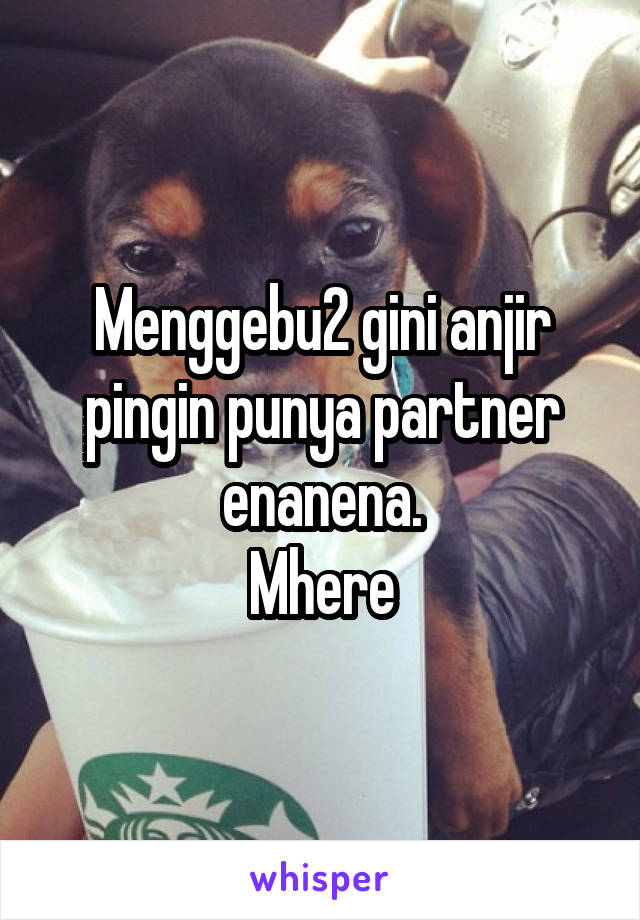 Menggebu2 gini anjir pingin punya partner enanena.
Mhere