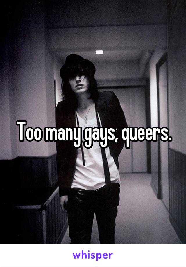 Too many gays, queers.