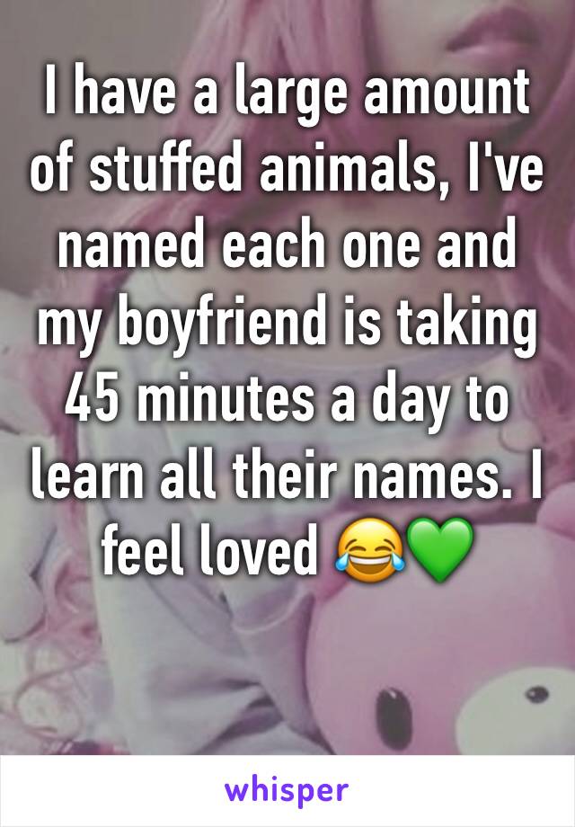 I have a large amount of stuffed animals, I've named each one and my boyfriend is taking 45 minutes a day to learn all their names. I feel loved 😂💚