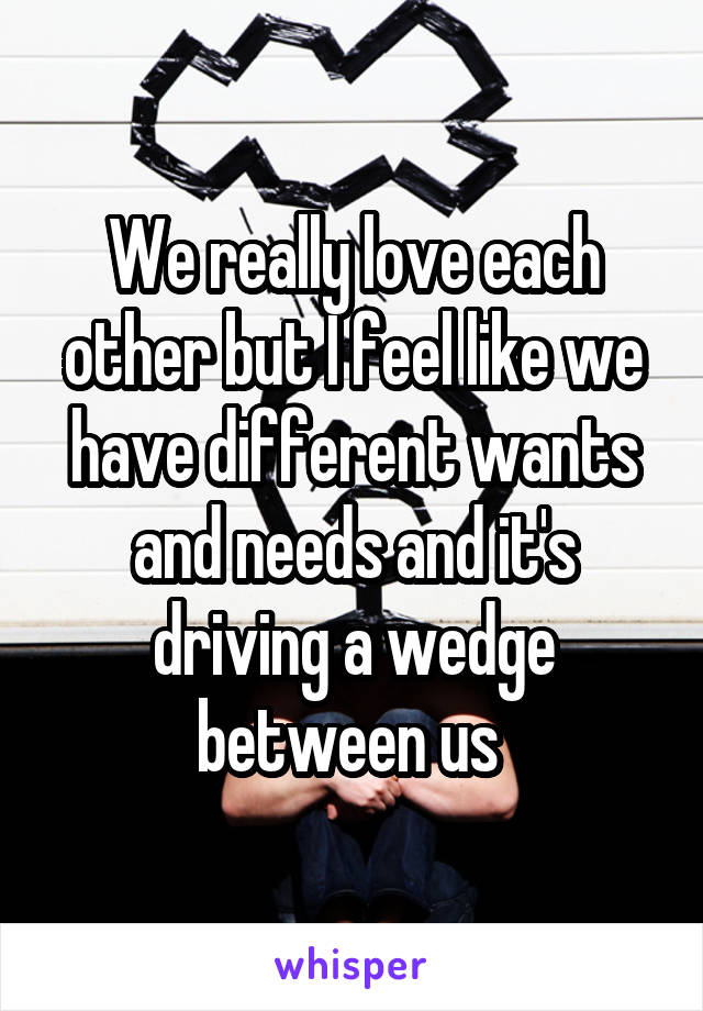 We really love each other but I feel like we have different wants and needs and it's driving a wedge between us 