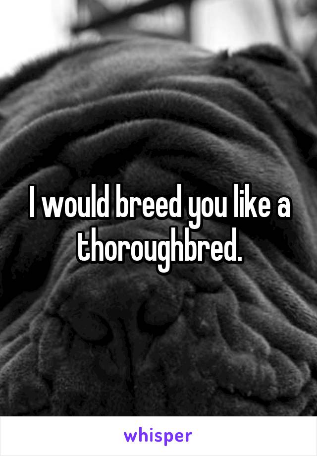 I would breed you like a thoroughbred.