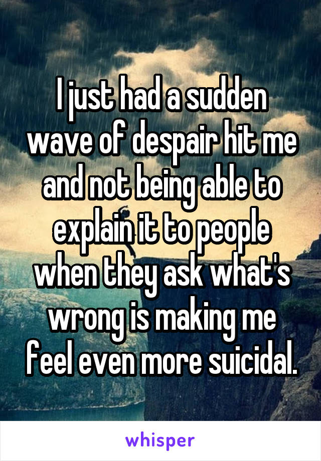 I just had a sudden wave of despair hit me and not being able to explain it to people when they ask what's wrong is making me feel even more suicidal.