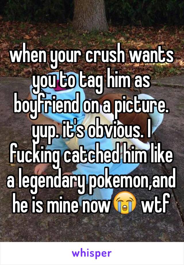 when your crush wants you to tag him as boyfriend on a picture. yup. it's obvious. I fucking catched him like a legendary pokemon,and  he is mine now😭 wtf