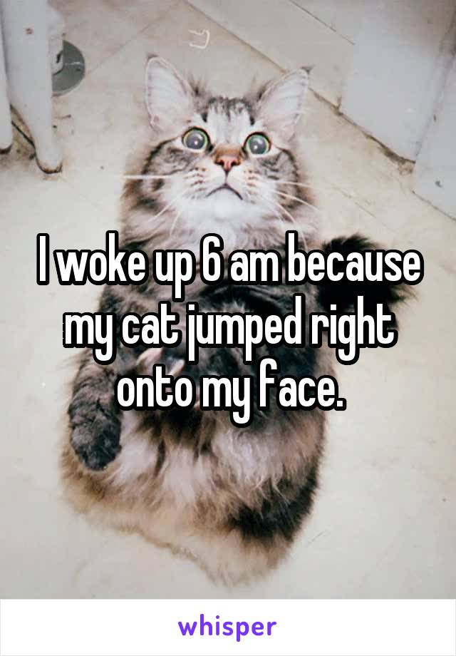 I woke up 6 am because my cat jumped right onto my face.