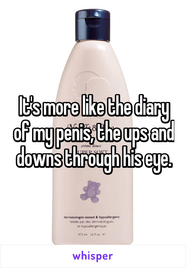It's more like the diary of my penis, the ups and downs through his eye.