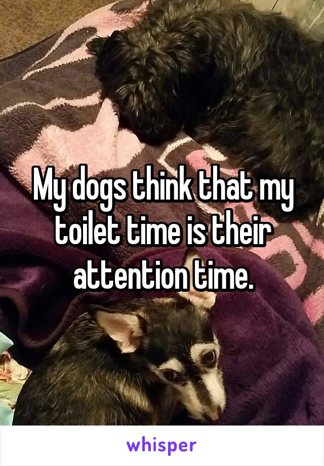 My dogs think that my toilet time is their attention time.