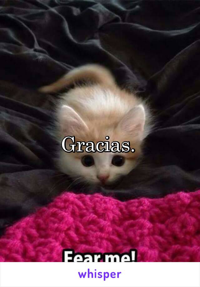 Gracias. 