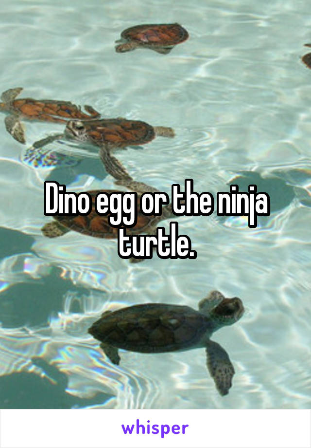 Dino egg or the ninja turtle.