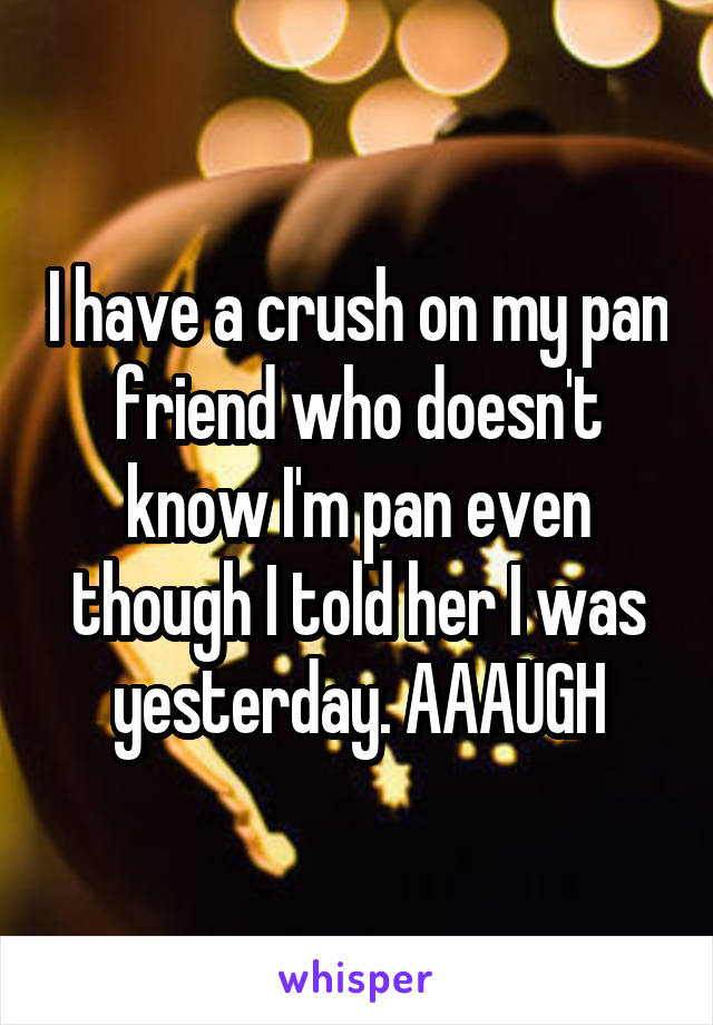 I have a crush on my pan friend who doesn't know I'm pan even though I told her I was yesterday. AAAUGH