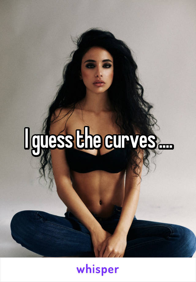 I guess the curves ....