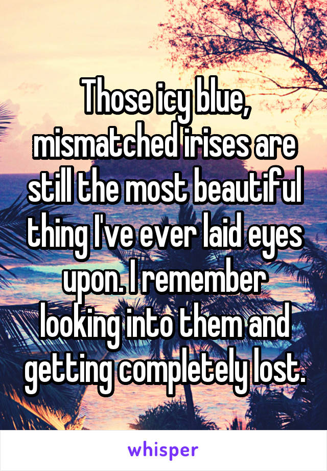 Those icy blue, mismatched irises are still the most beautiful thing I've ever laid eyes upon. I remember looking into them and getting completely lost.