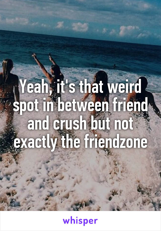 Yeah, it's that weird spot in between friend and crush but not exactly the friendzone