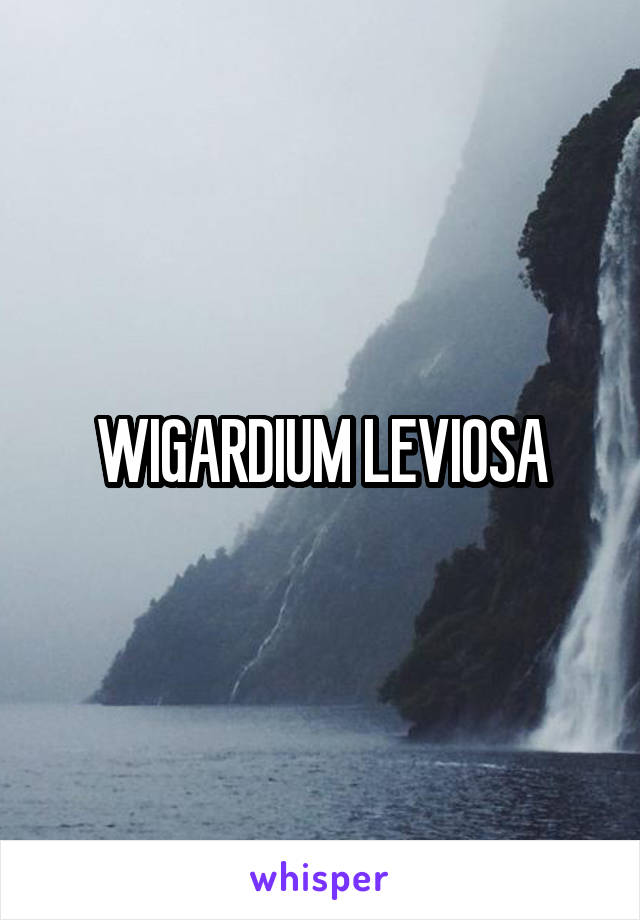 WIGARDIUM LEVIOSA