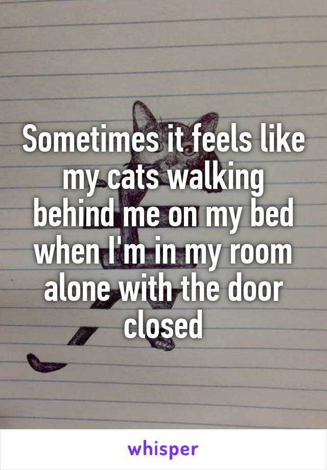 Sometimes it feels like my cats walking behind me on my bed when I'm in my room alone with the door closed