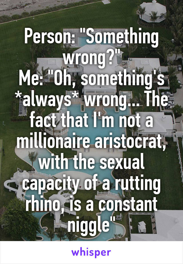 Person: "Something wrong?"
Me: "Oh, something's *always* wrong... The fact that I'm not a millionaire aristocrat, with the sexual capacity of a rutting rhino, is a constant niggle"