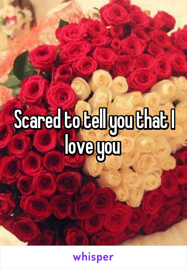 Scared to tell you that I love you 