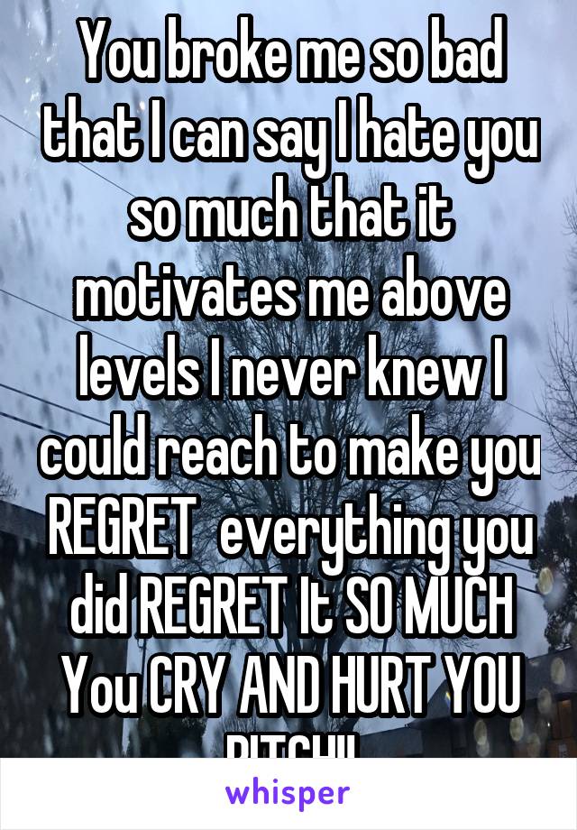 You broke me so bad that I can say I hate you so much that it motivates me above levels I never knew I could reach to make you REGRET  everything you did REGRET It SO MUCH You CRY AND HURT YOU BITCH!!