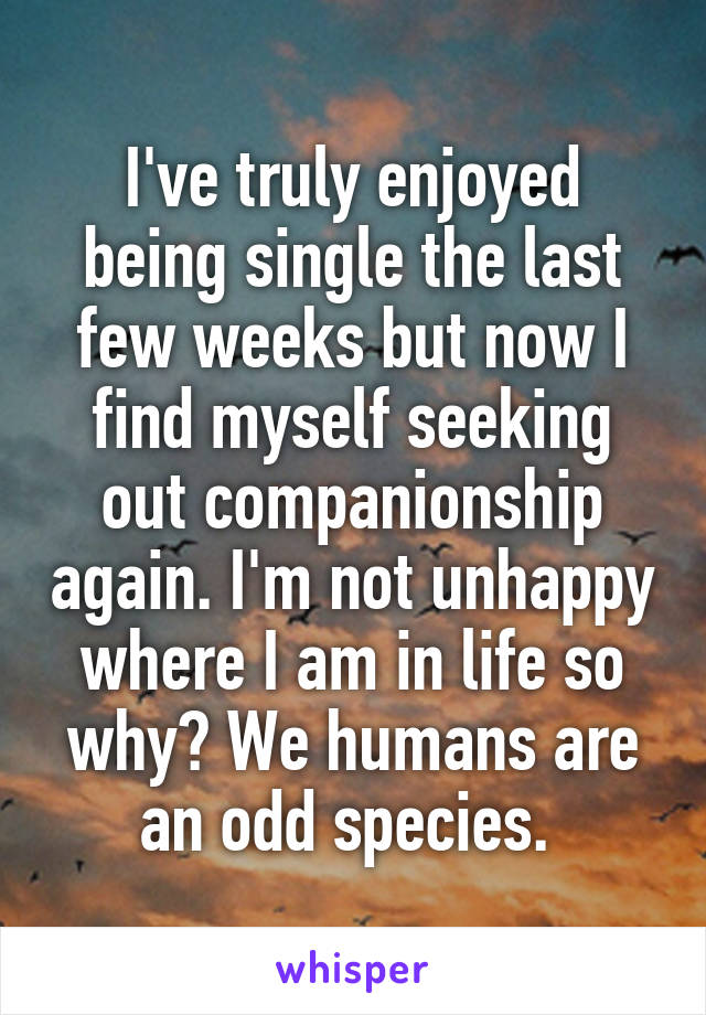 I've truly enjoyed being single the last few weeks but now I find myself seeking out companionship again. I'm not unhappy where I am in life so why? We humans are an odd species. 