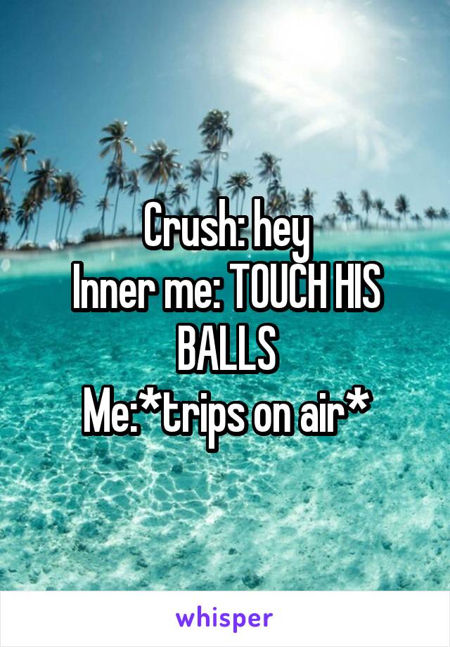 Crush: hey
Inner me: TOUCH HIS BALLS
Me:*trips on air*