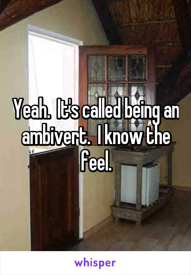 Yeah.  It's called being an ambivert.  I know the feel.