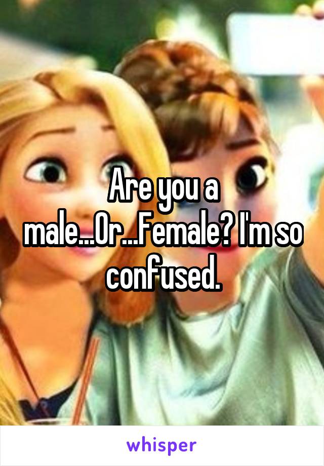 Are you a male...Or...Female? I'm so confused.