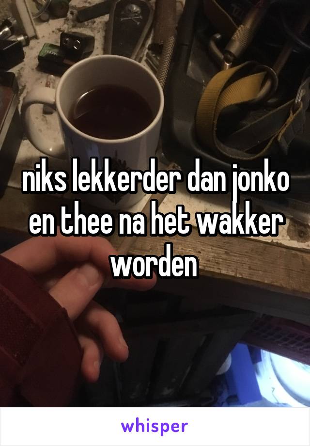 niks lekkerder dan jonko en thee na het wakker worden 