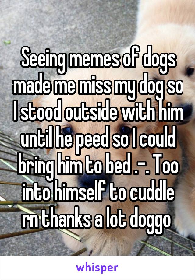 Seeing memes of dogs made me miss my dog so I stood outside with him until he peed so I could bring him to bed .-. Too into himself to cuddle rn thanks a lot doggo 