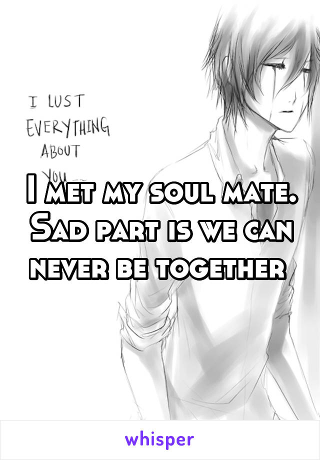 I met my soul mate. Sad part is we can never be together 