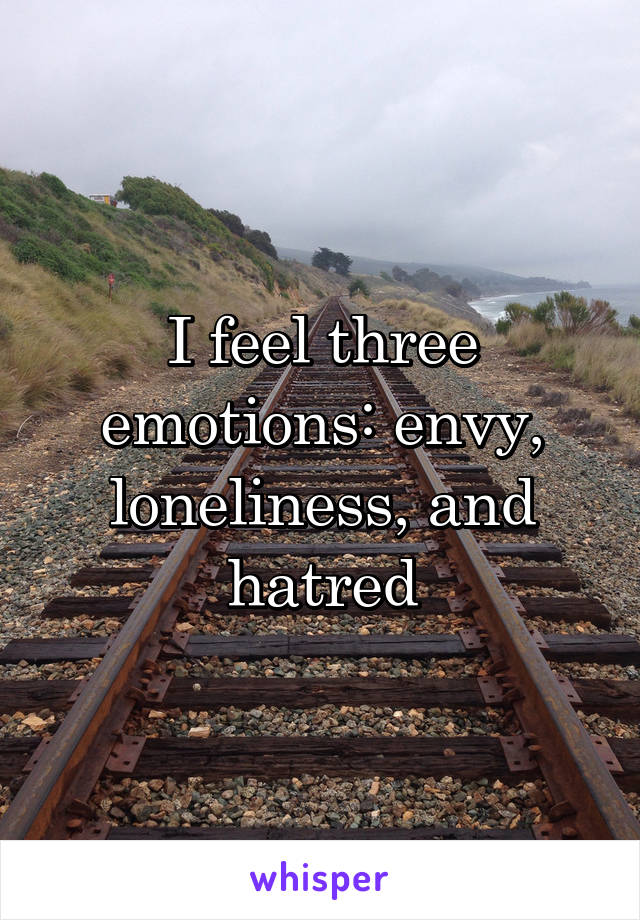 I feel three emotions: envy, loneliness, and hatred