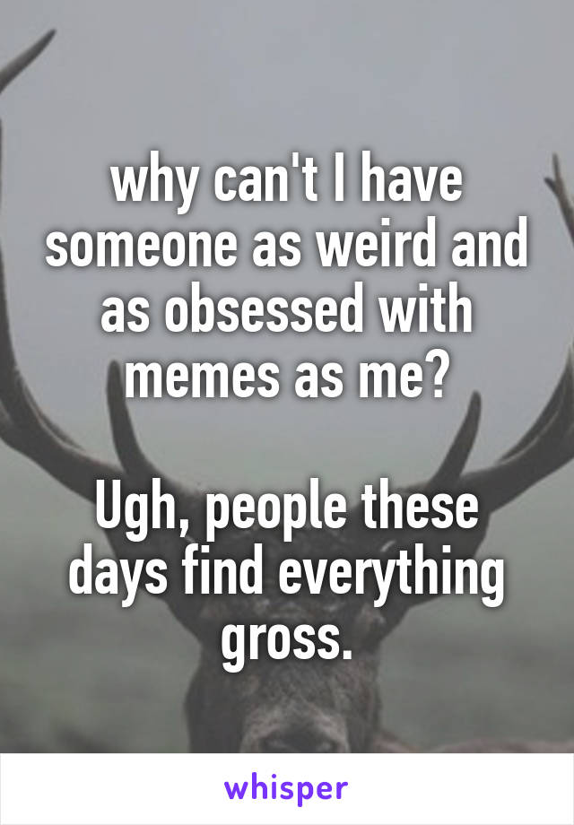 why can't I have someone as weird and as obsessed with memes as me?

Ugh, people these days find everything gross.