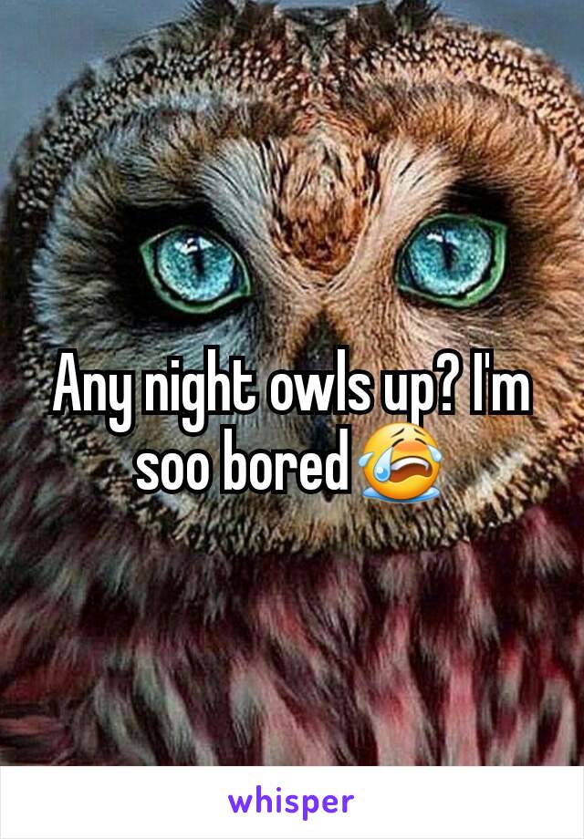 Any night owls up? I'm soo bored😭