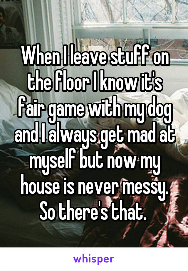 When I leave stuff on the floor I know it's fair game with my dog and I always get mad at myself but now my house is never messy. So there's that. 