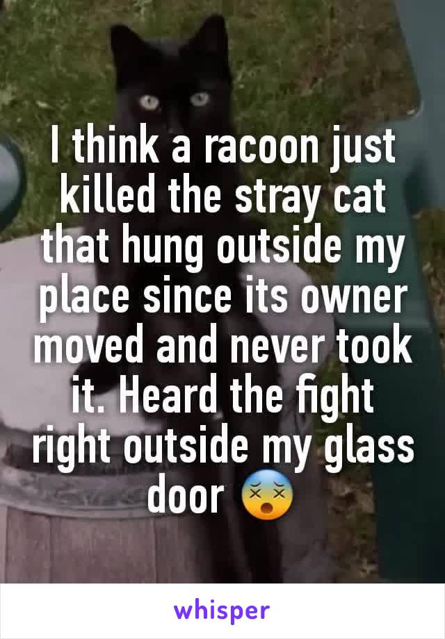 I think a racoon just killed the stray cat that hung outside my place since its owner moved and never took it. Heard the fight right outside my glass door 😵