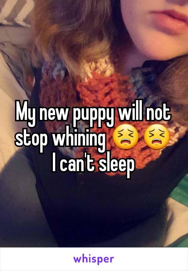 My new puppy will not stop whining 😣😣
I can't sleep