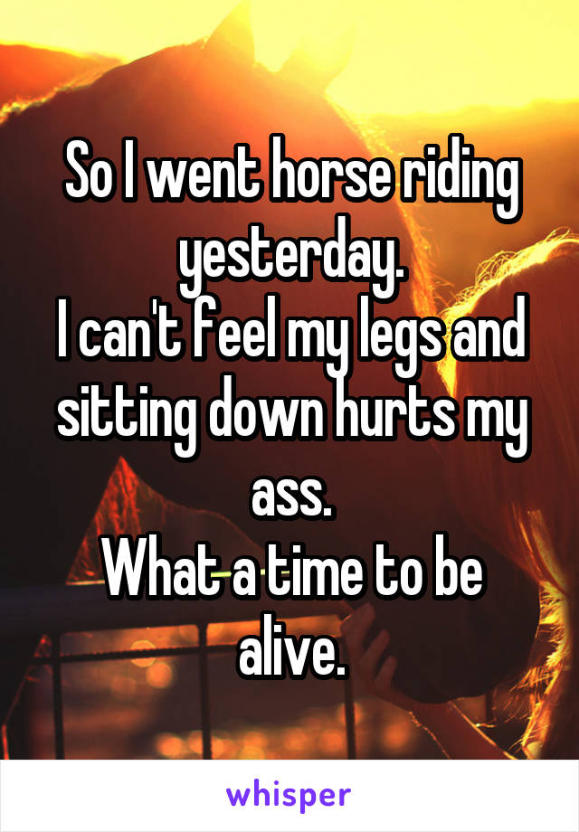 So I went horse riding yesterday.
I can't feel my legs and sitting down hurts my ass.
What a time to be alive.