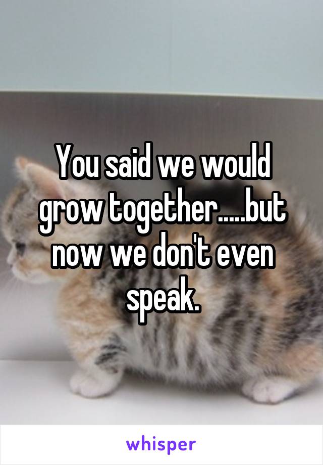 You said we would grow together.....but now we don't even speak.