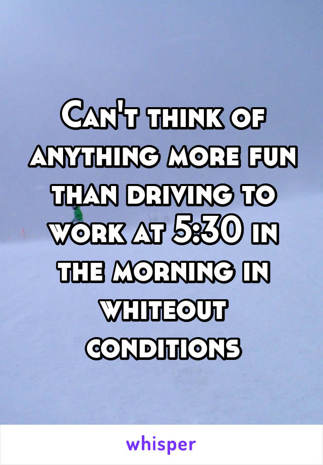 Can't think of anything more fun than driving to work at 5:30 in the morning in whiteout conditions