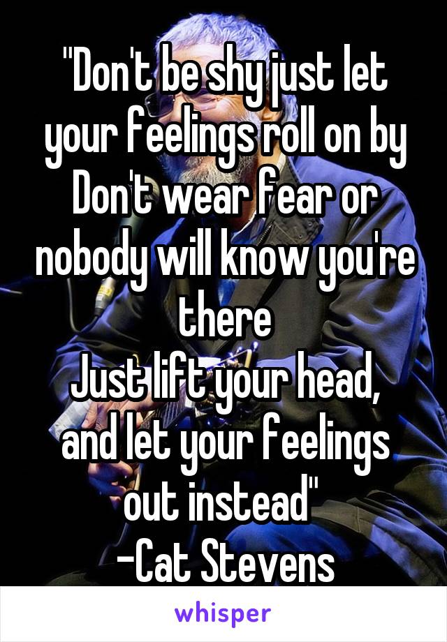 "Don't be shy just let your feelings roll on by
Don't wear fear or nobody will know you're there
Just lift your head, and let your feelings out instead" 
-Cat Stevens