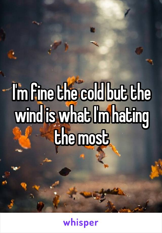 I'm fine the cold but the wind is what I'm hating the most