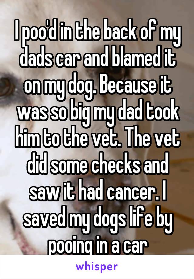 I poo'd in the back of my dads car and blamed it on my dog. Because it was so big my dad took him to the vet. The vet did some checks and saw it had cancer. I saved my dogs life by pooing in a car