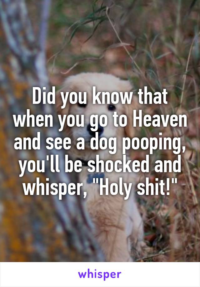 Did you know that when you go to Heaven and see a dog pooping, you'll be shocked and whisper, "Holy shit!"