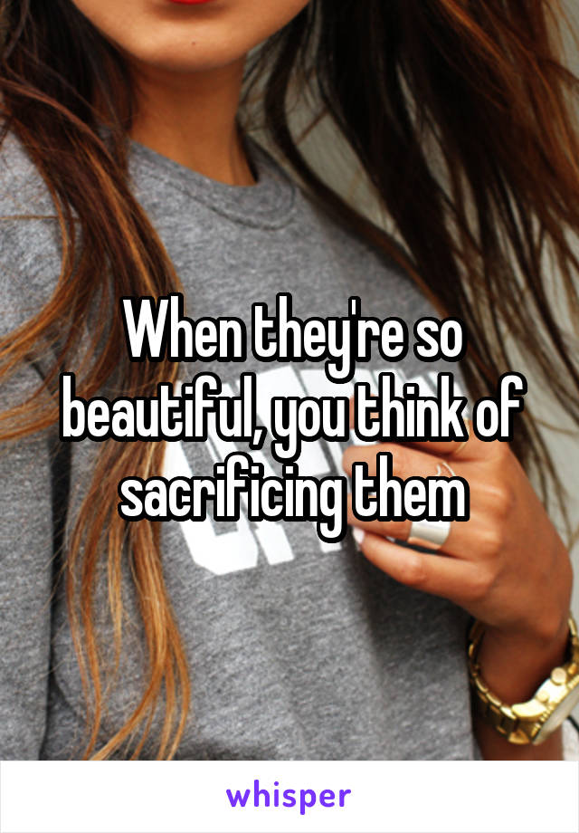 When they're so beautiful, you think of sacrificing them