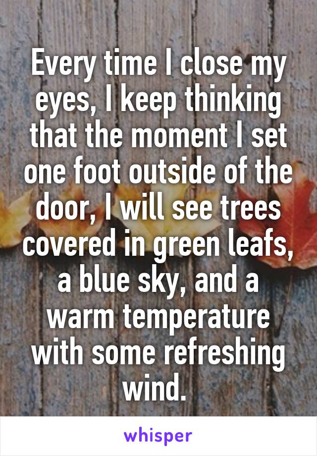 Every time I close my eyes, I keep thinking that the moment I set one foot outside of the door, I will see trees covered in green leafs, a blue sky, and a warm temperature with some refreshing wind. 