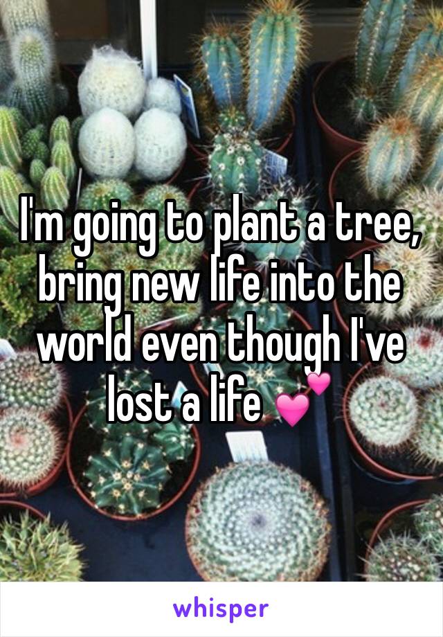 I'm going to plant a tree, bring new life into the world even though I've lost a life 💕