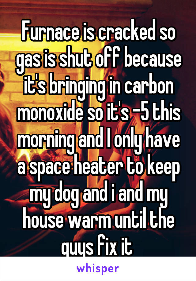 Furnace is cracked so gas is shut off because it's bringing in carbon monoxide so it's -5 this morning and I only have a space heater to keep my dog and i and my house warm until the guys fix it 