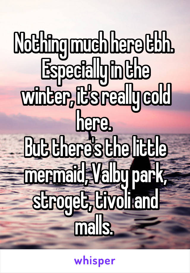 Nothing much here tbh. 
Especially in the winter, it's really cold here. 
But there's the little mermaid, Valby park, stroget, tivoli and malls. 