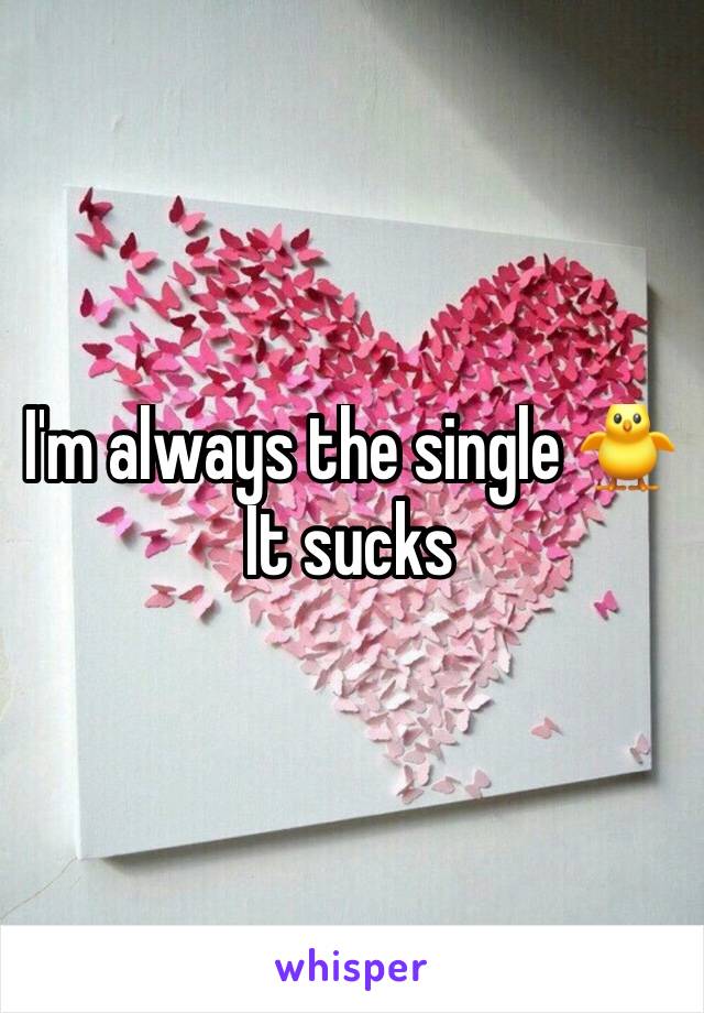 I'm always the single 🐥   It sucks